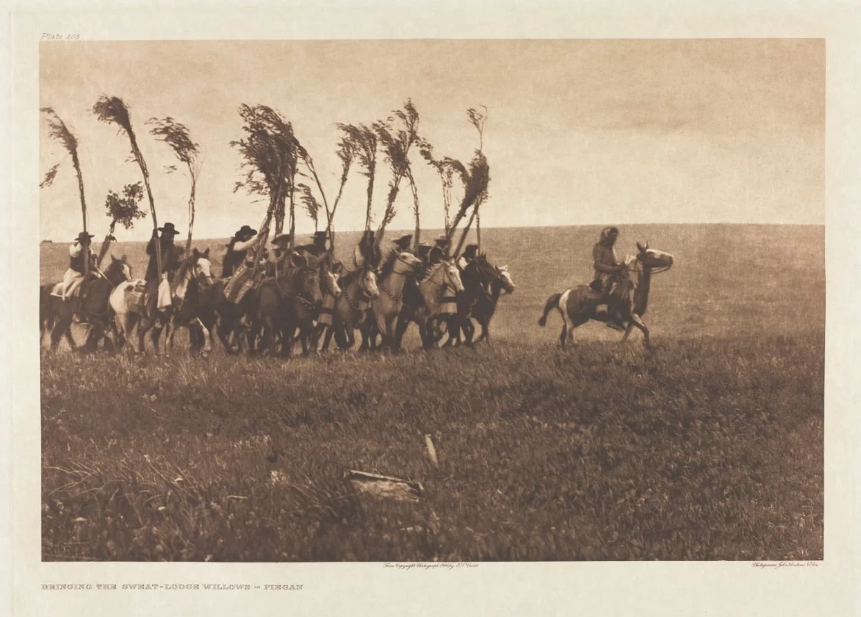 Portfolio VI, Plate 205: Bringing the Sweat-Lodge Willows - Piegan, by Edward S. Curtis, 1900
