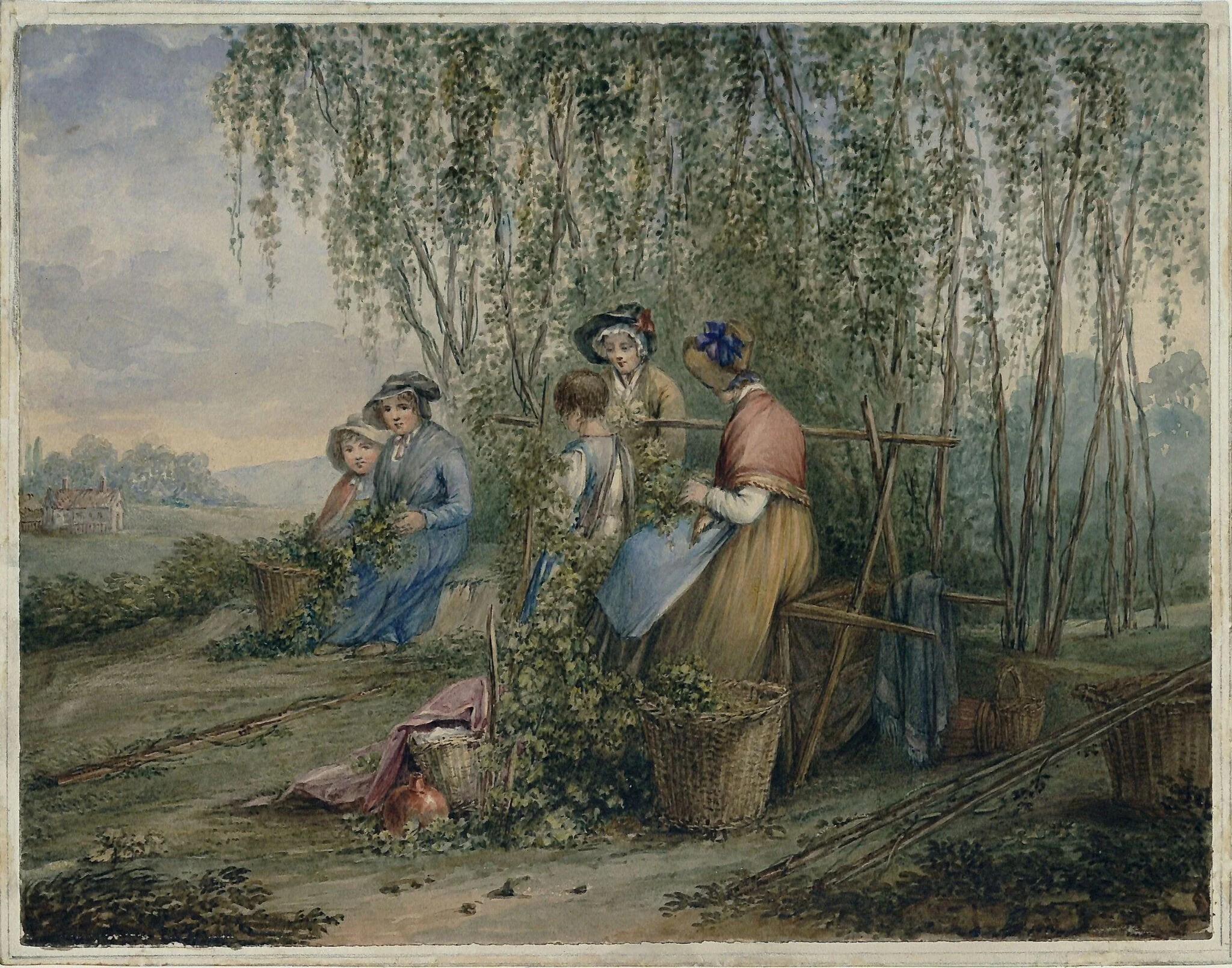 A Hop Garden