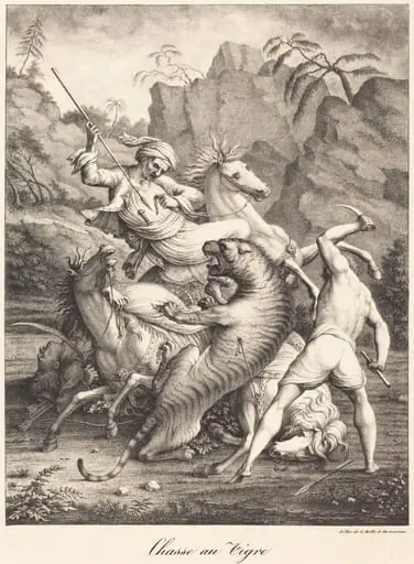 Tiger Hunt