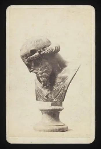 A Bust
