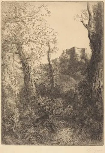 Landscape (Paysage)