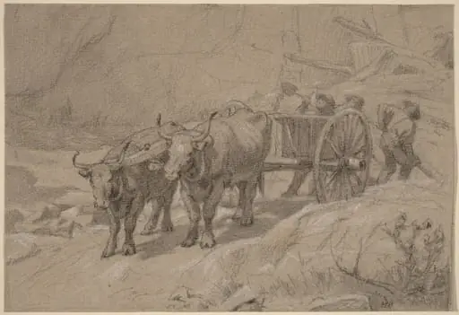 Oxen and Dump Cart