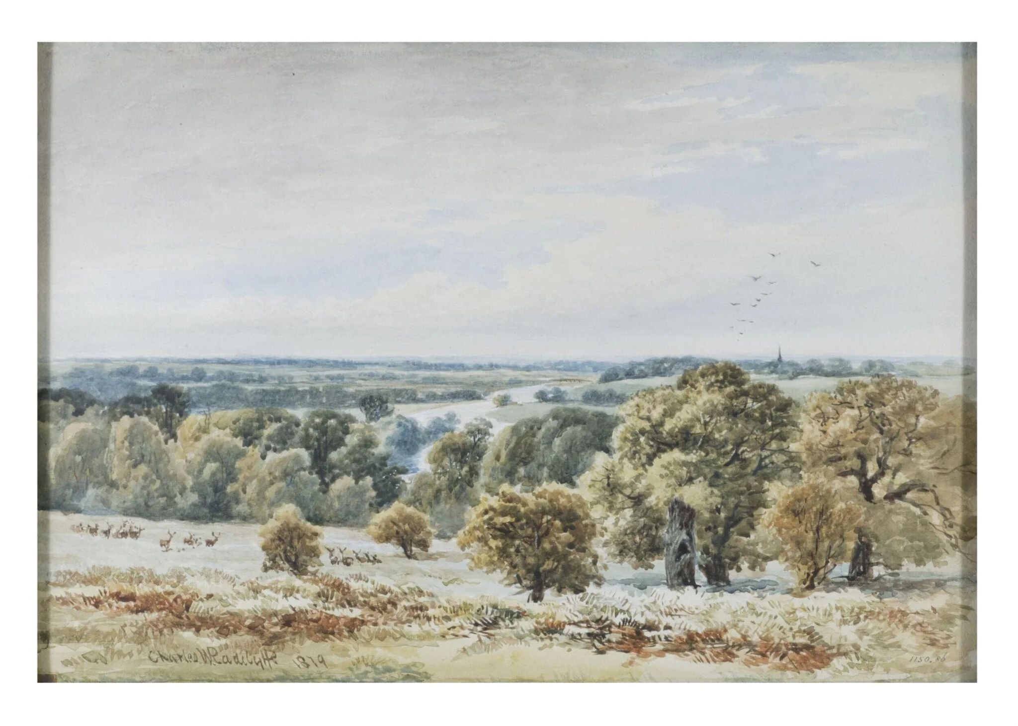 Park scene with deer and river