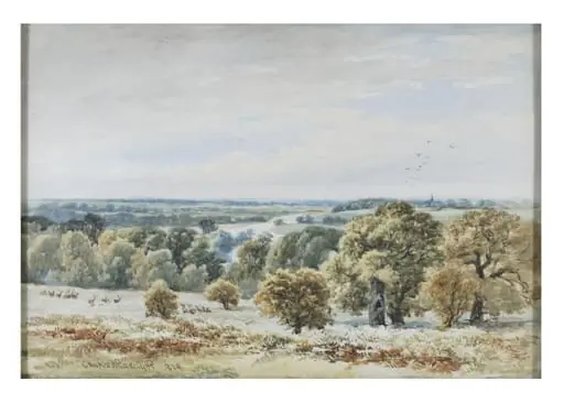 Park scene with deer and river