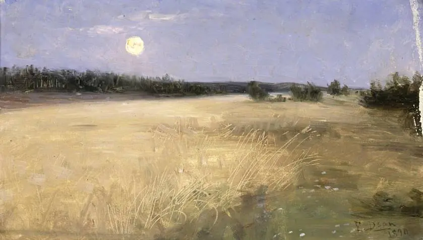 Summer Night