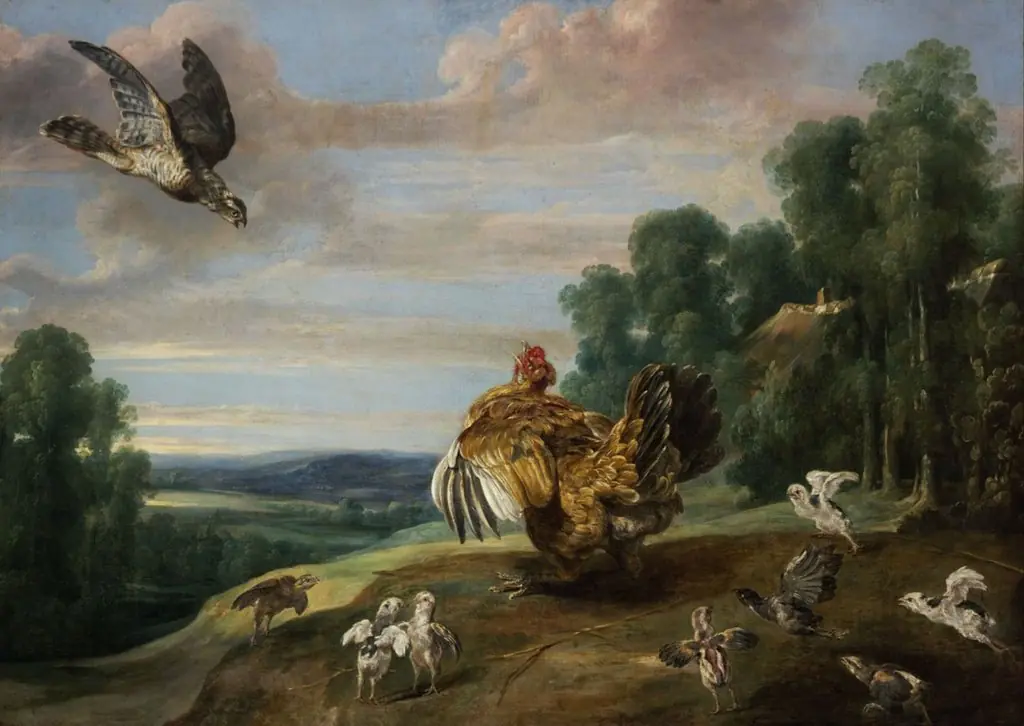 A Hawk and a Brood Hen