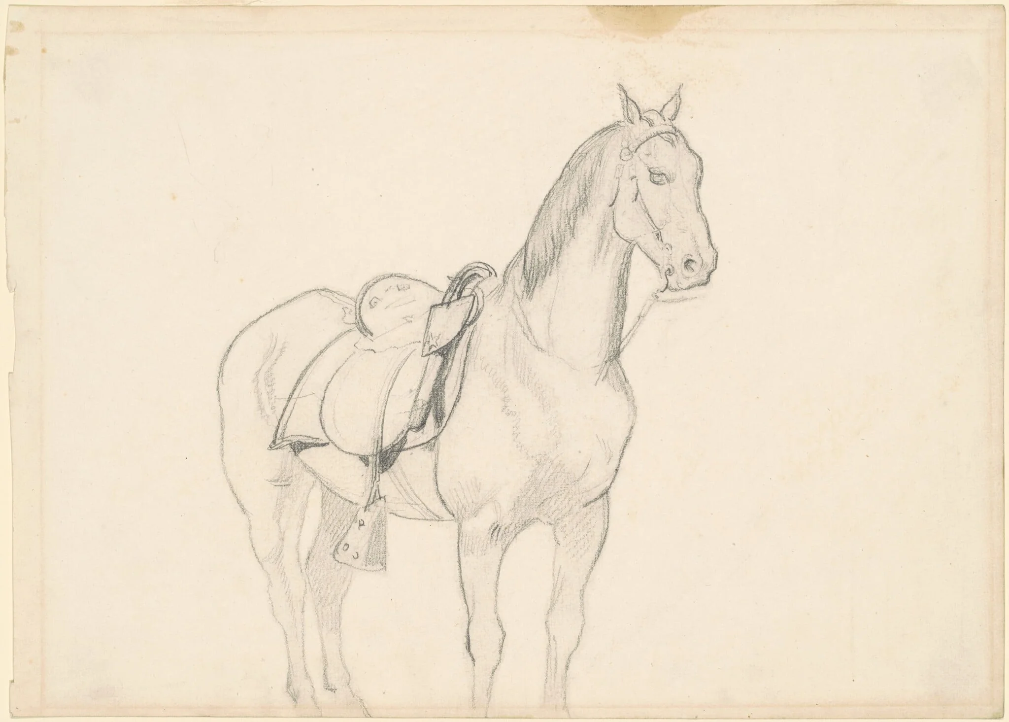 Horse, by Emanuel Leutze, graphite, 1864