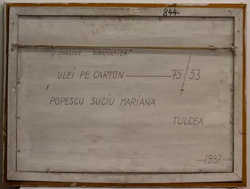 Imagine subacvatică