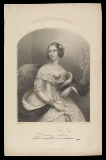 H Beard Print Collection