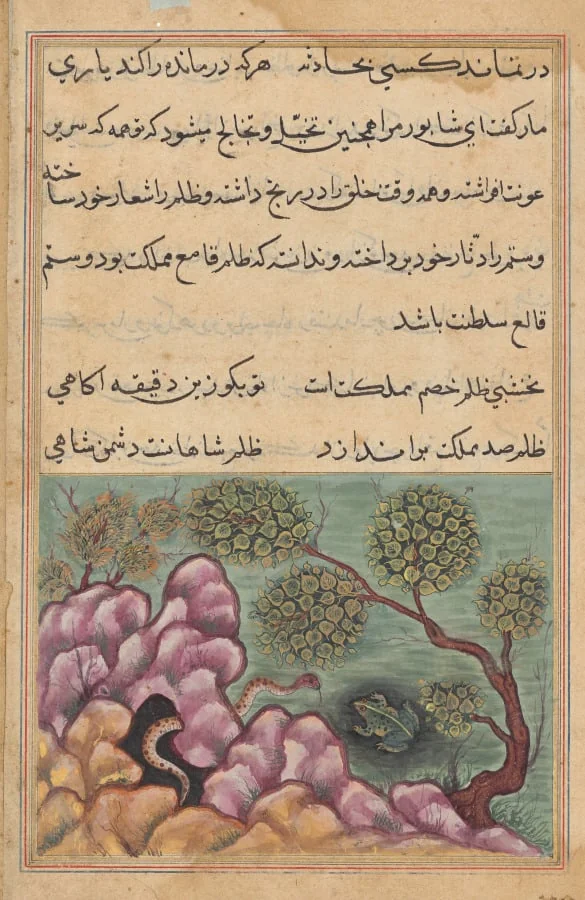 The dethroned frog Shapur seeks the help of the serpent, from a Tuti-nama (Tales of a Parrot): Twenth-sixth Night, by Unknown, unspecified, 1560