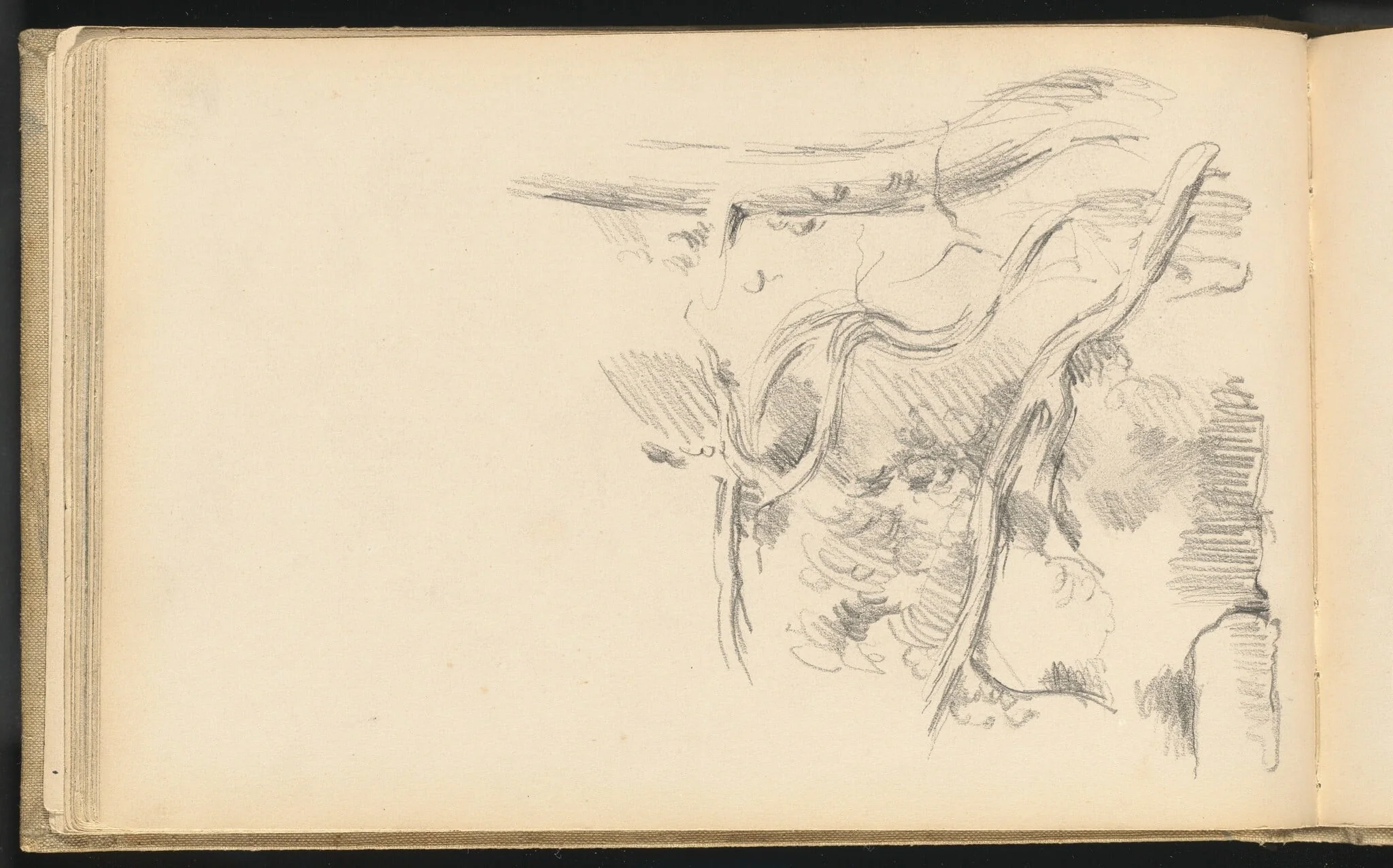 Pine Tree, by Paul Cezanne, graphite, 1884