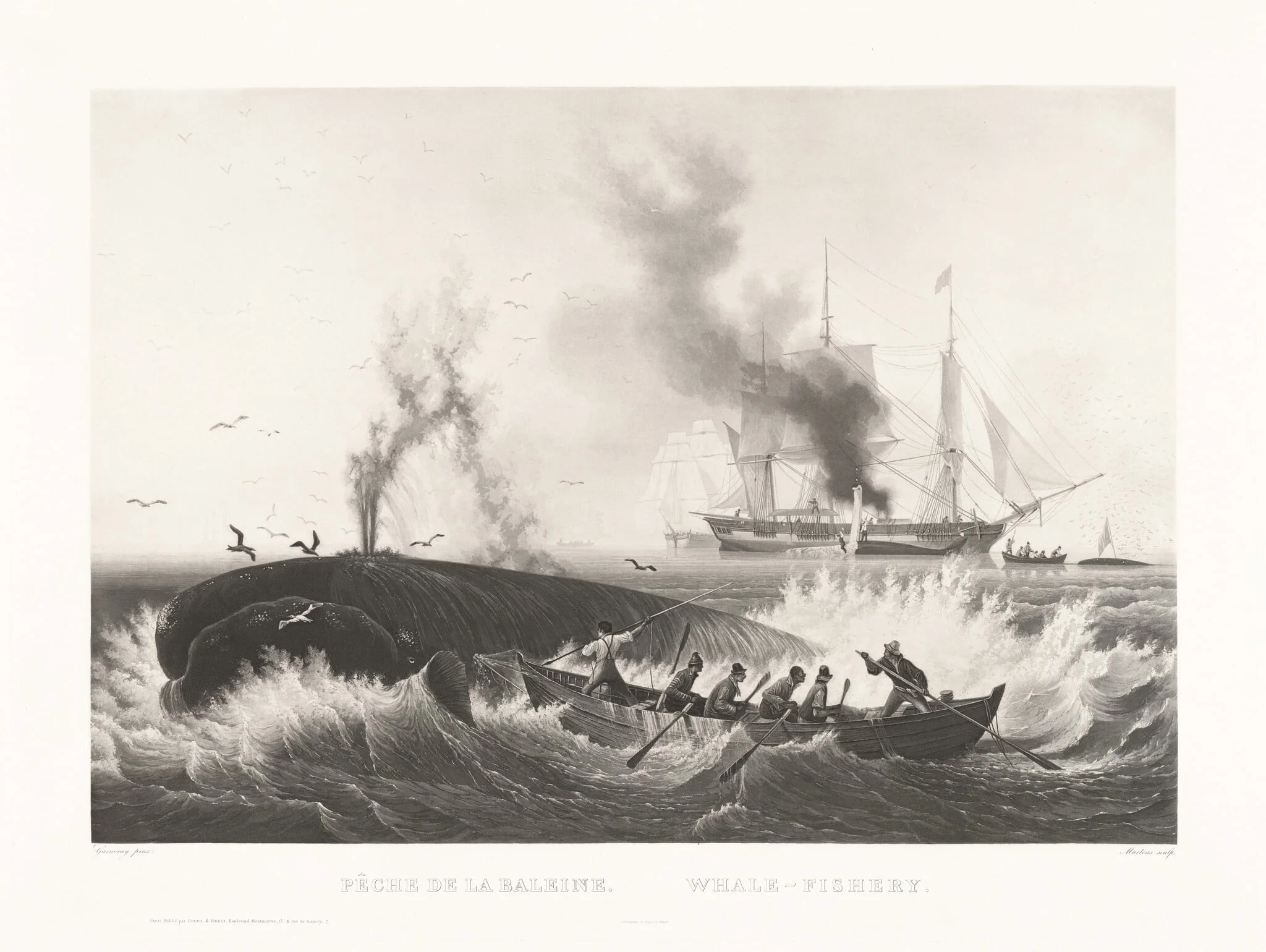 Pêche de la Baleine, Whale-Fishery