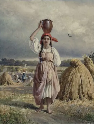 A harvest field