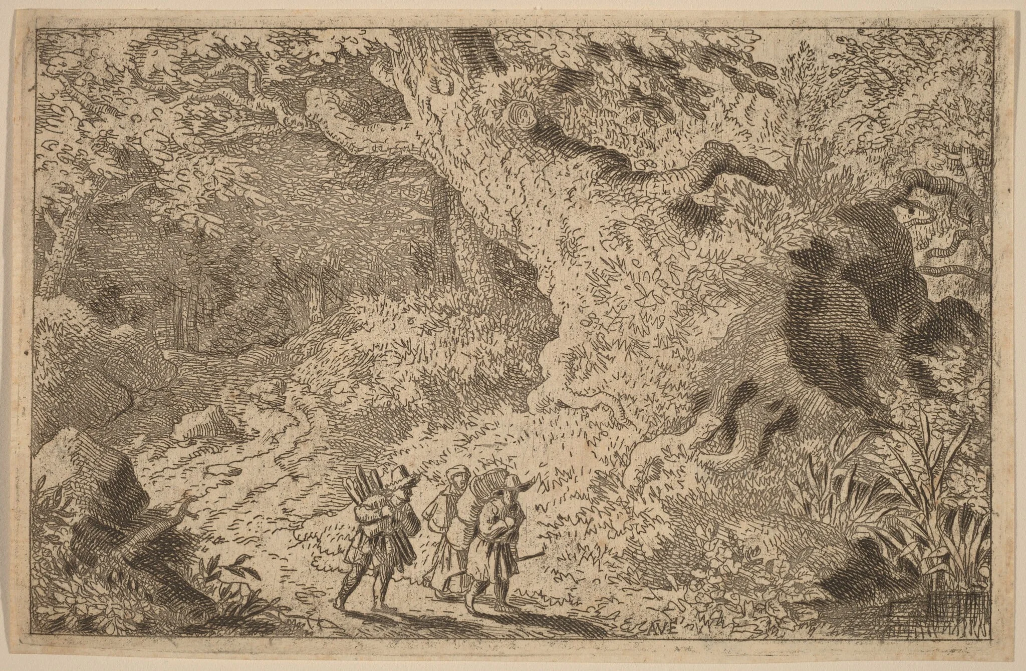 A Thick Forest, by Allart van Everdingen, ink, 1650