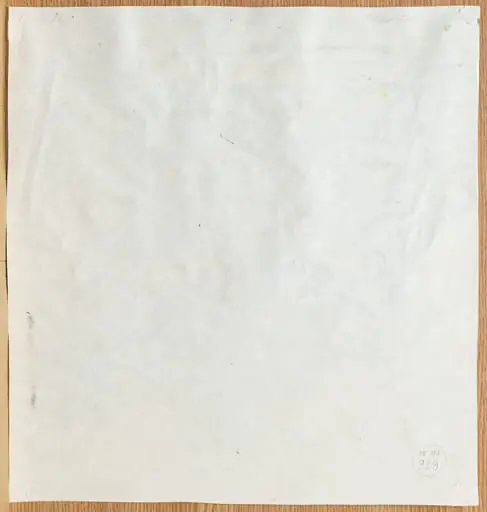 Desen numărul 29