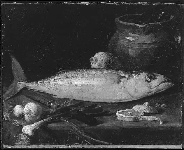 Still Life - Fish