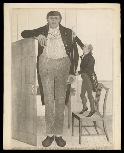 H Beard Print Collection