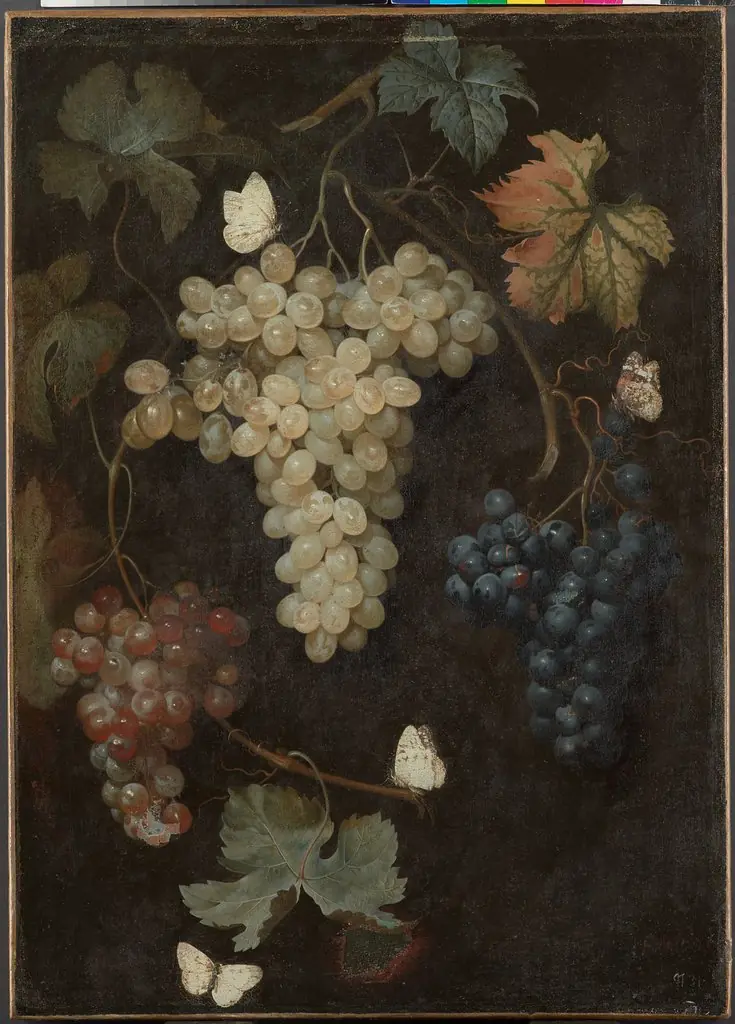 Q55409299