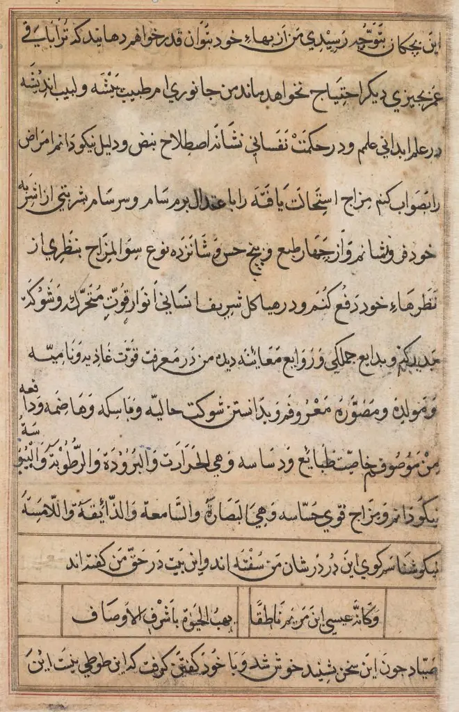 Page from Tales of a Parrot (Tuti-nama): text page