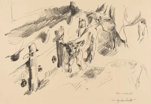Kälber (Calves)
