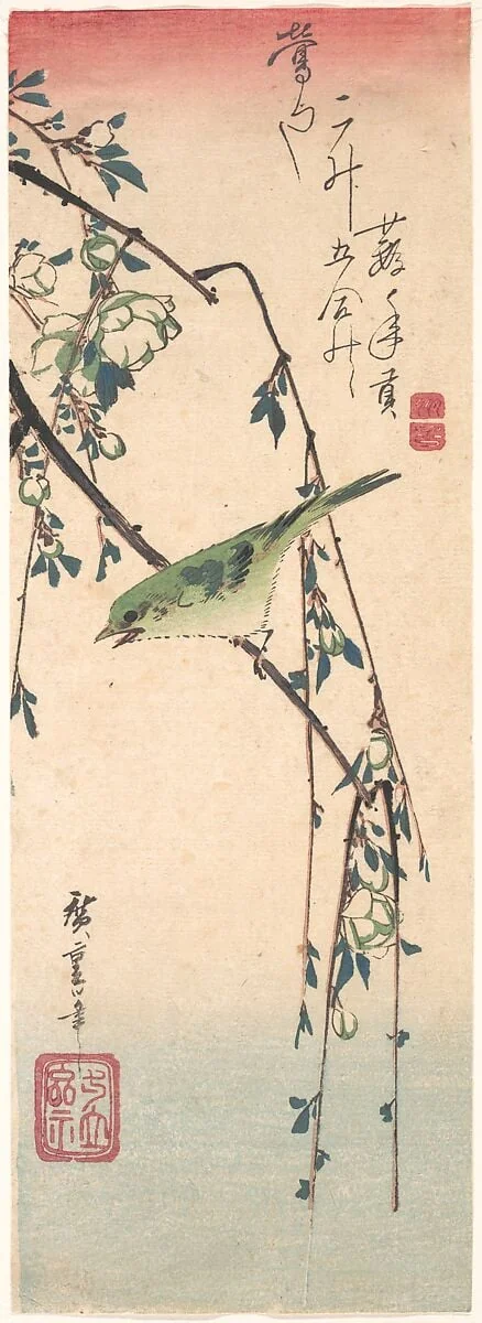 歌川広重画　梅に鶯|Warbler on a Plum Branch, by Utagawa Hiroshige, ink, 1835