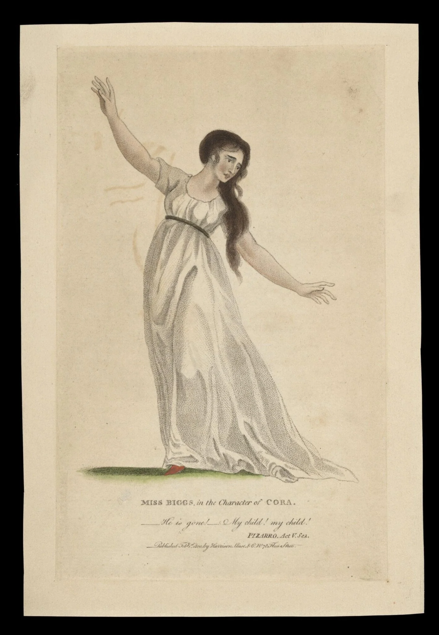 H Beard Print Collection, by Harrison & Co., 1800