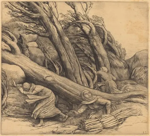 Tornado (Le typhon)