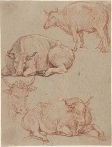 Four Cows