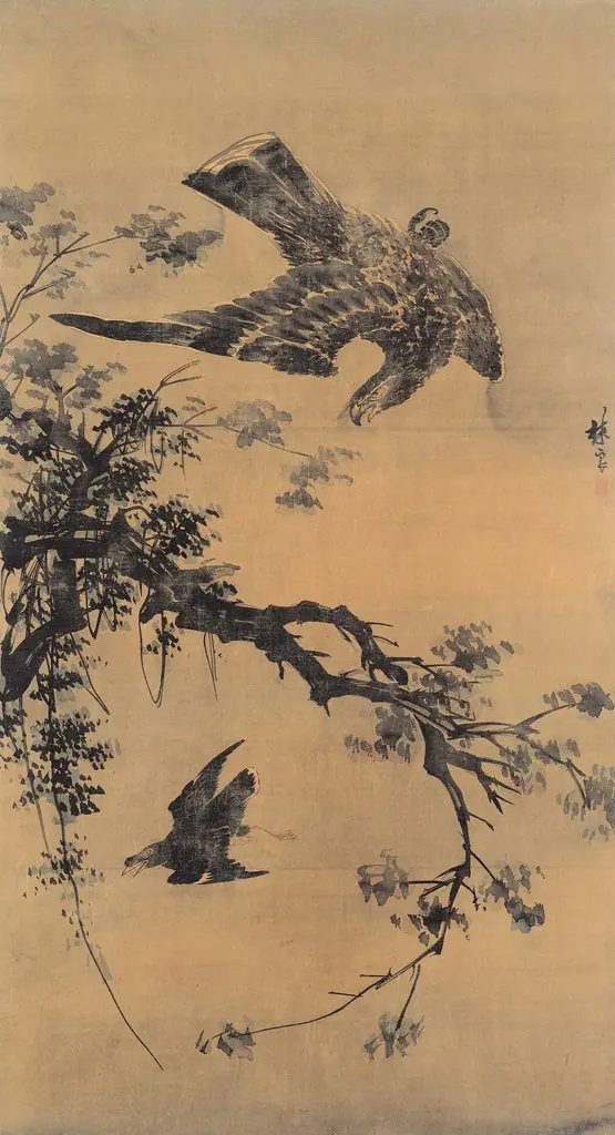 Falcon in Autumn