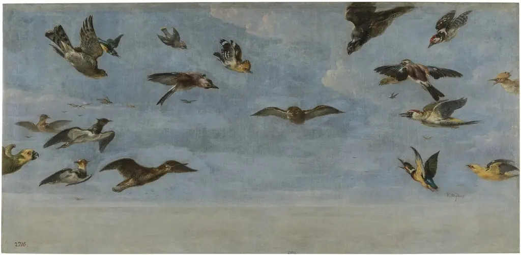 A Little Owl and a Flock of Birds