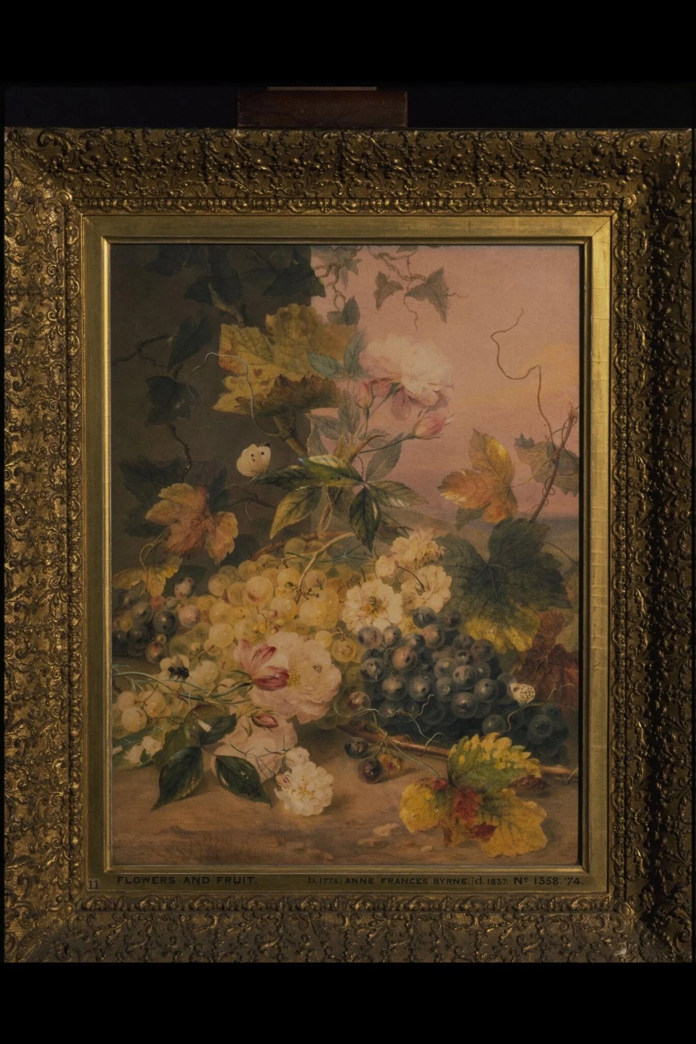 Flowers and Grapes, by Anne Frances Byrne, watercolor, 1826