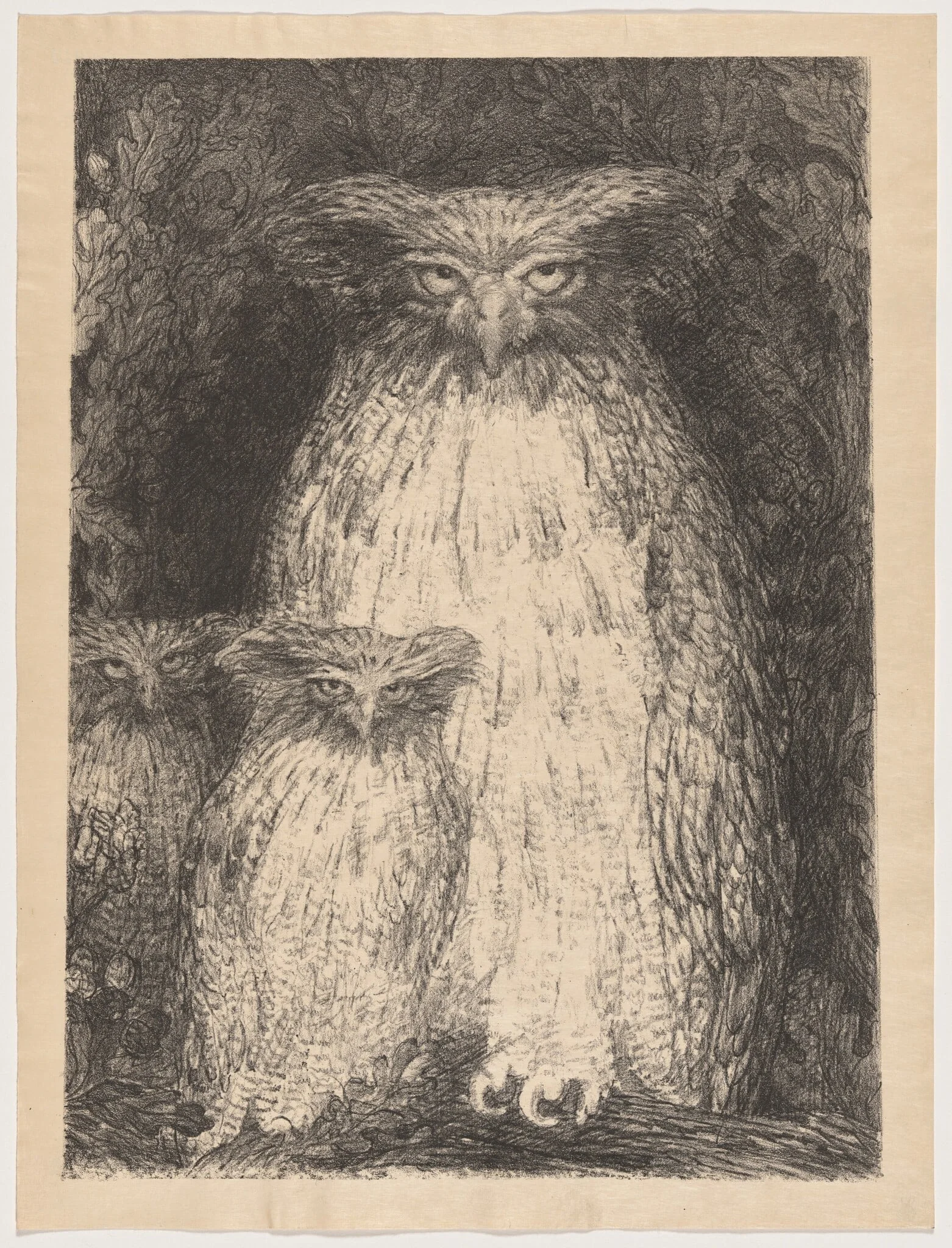 Grand-duc (Eagle Owl), by Henri de Groux, ink, 1895