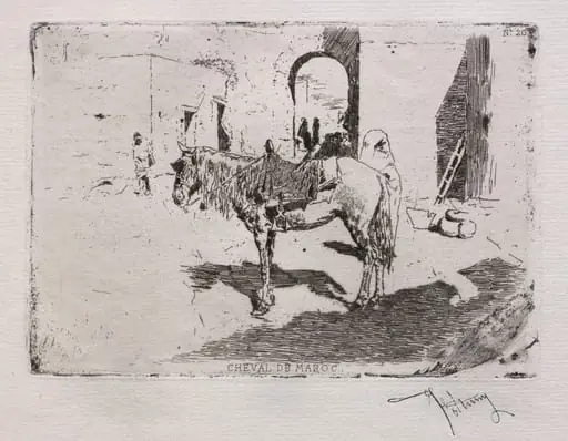 Moroccan Horse