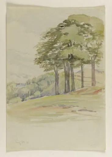 Hillside with five trees