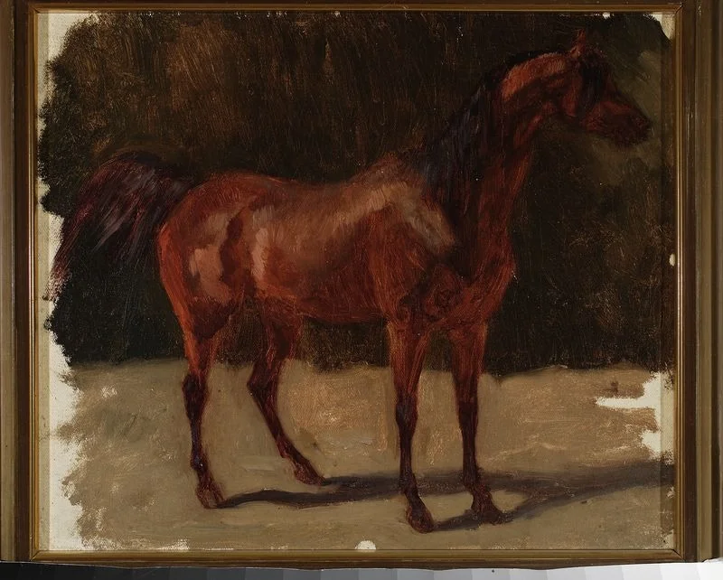 Study of a horse