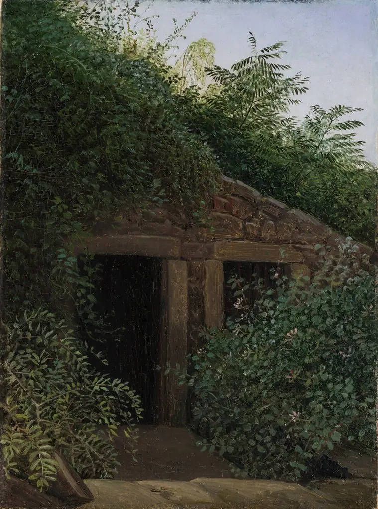 An Overgrown Mineshaft