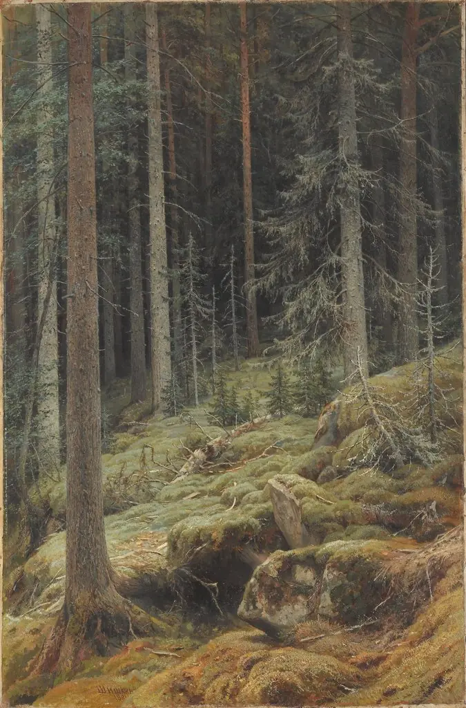 Wilds