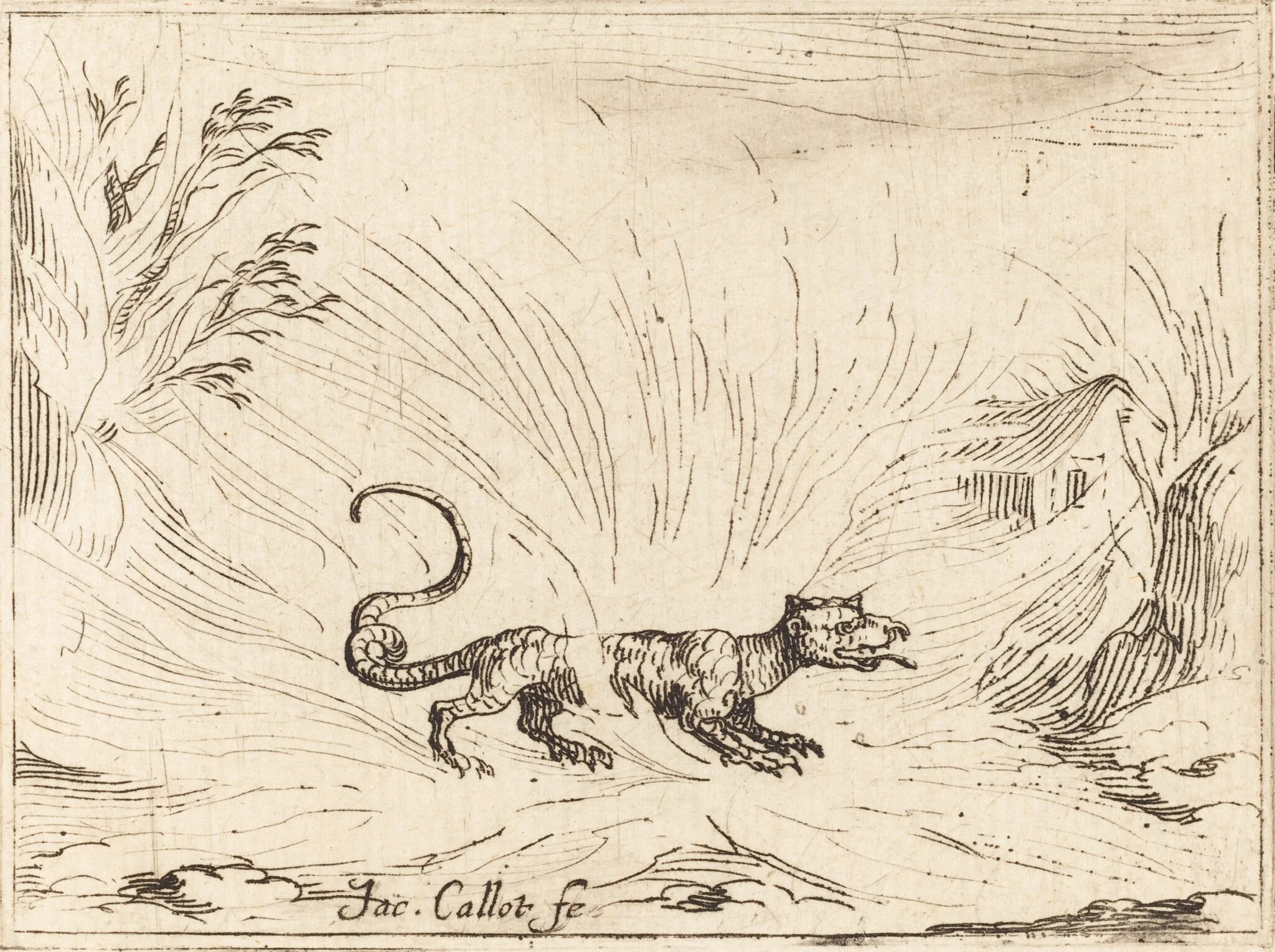 Salamander Surrounded by Flames, by Jacques Callot, ink, 1628