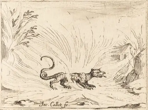 Salamander Surrounded by Flames