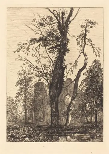Dans un Parc