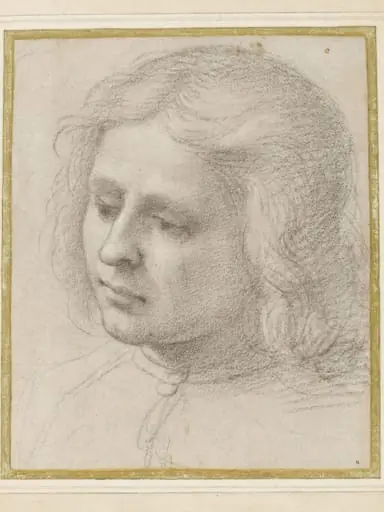 Head of a young man