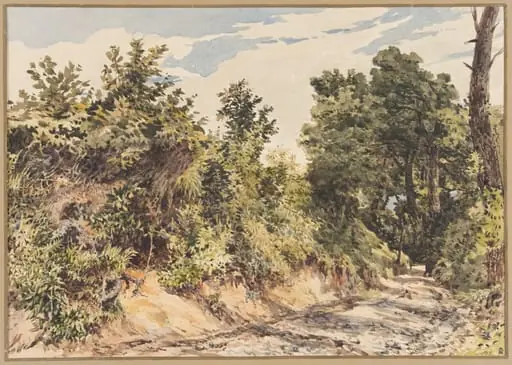 The Bridle Road