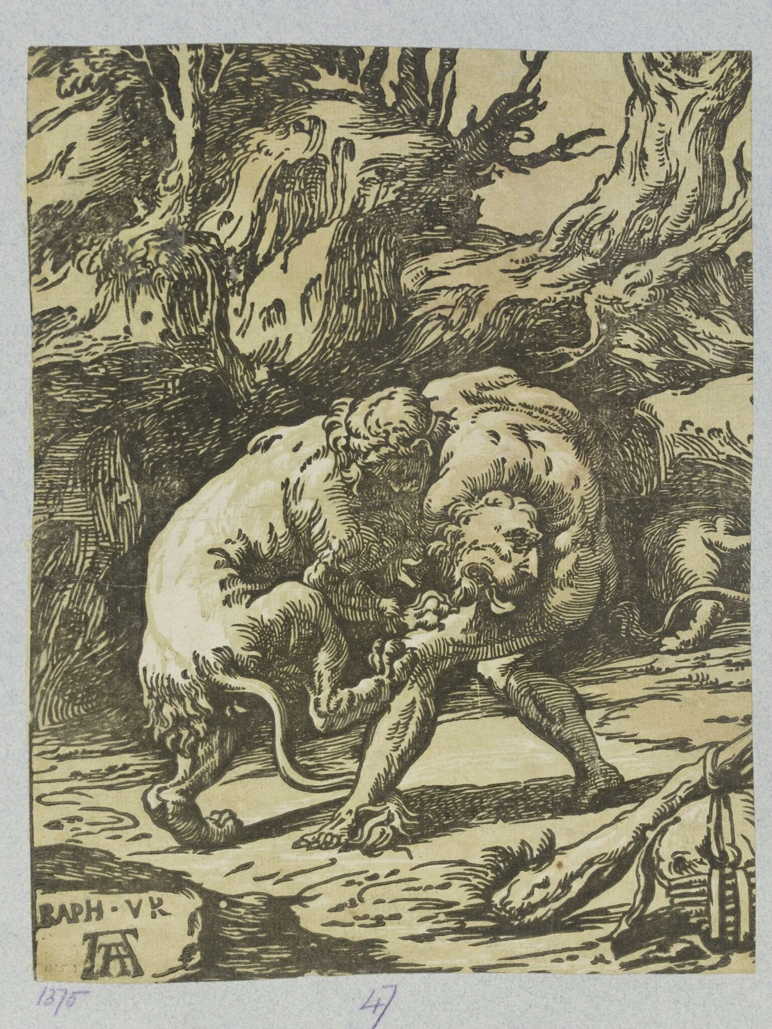 Hercules Strangling the Nemean Lion, by Andrea Andreani, 1650