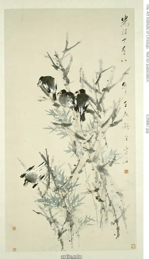 Black Birds