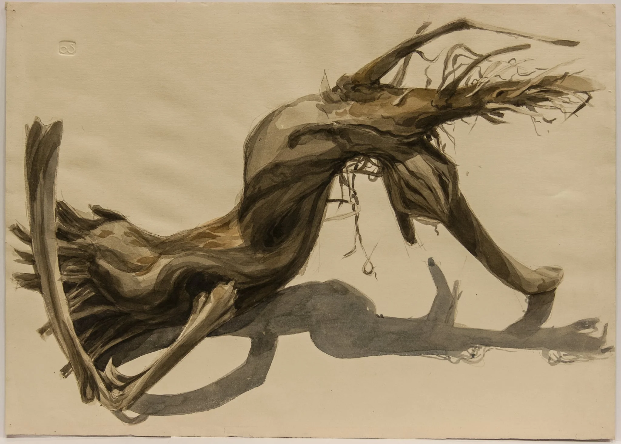 Copac, by Ana Maria Smigelschi, unspecified, 1950