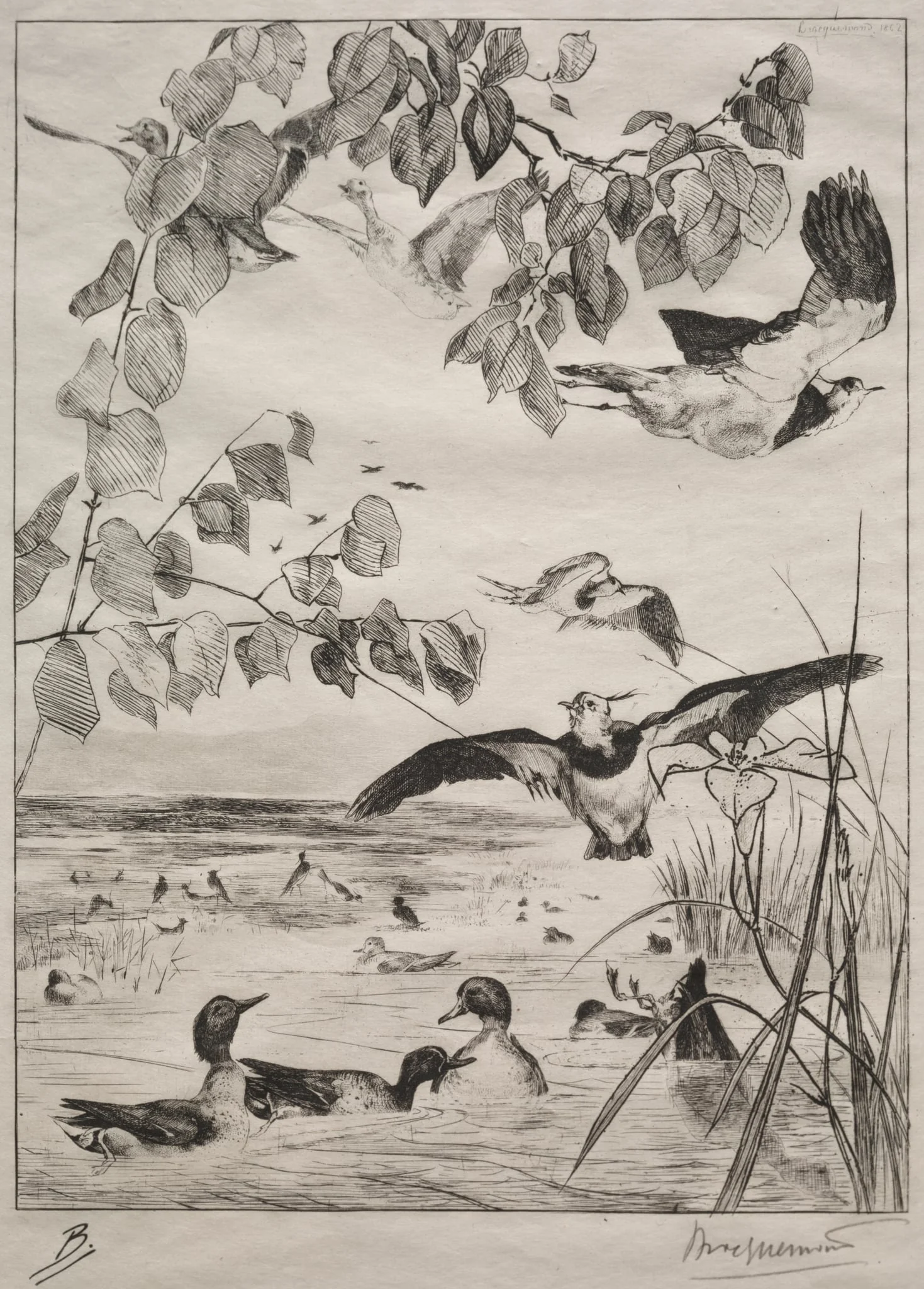 Lapwings and Teals, by Félix Bracquemond, 1862