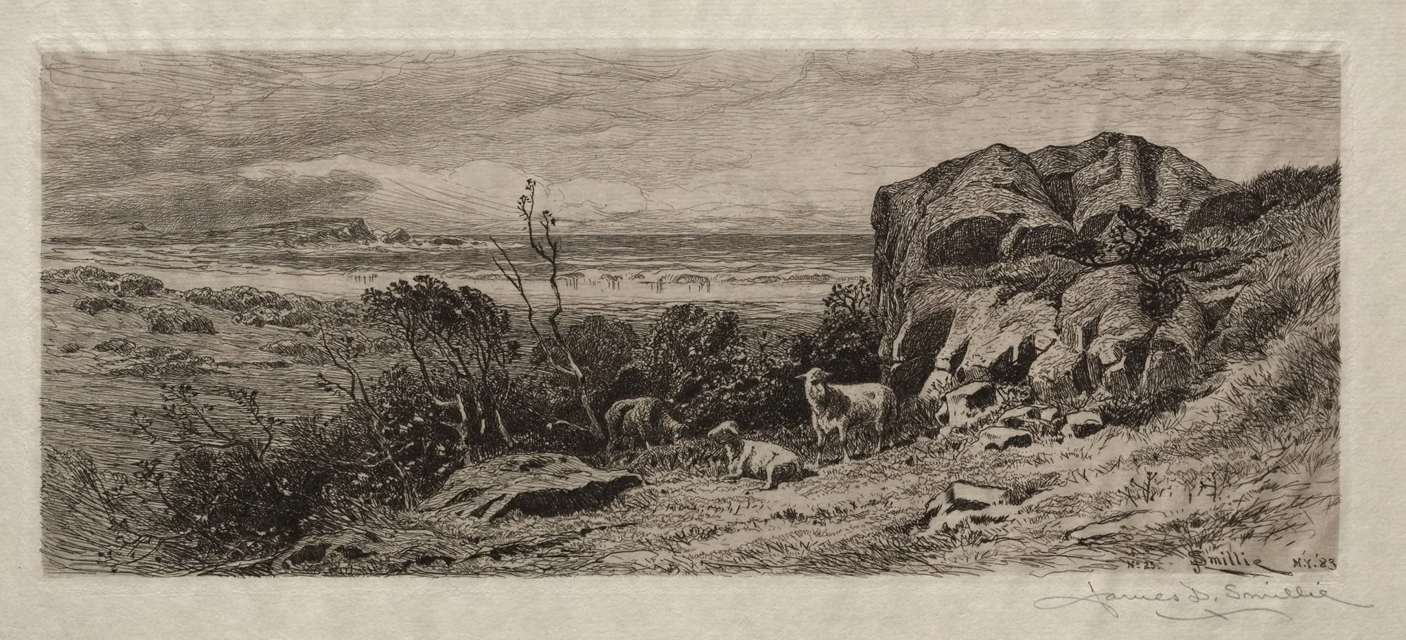 A Bit on Marblehead Neck, by James David Smillie, 1883