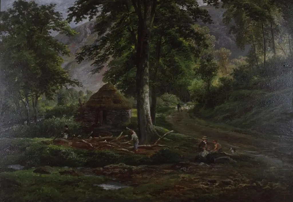 Woodland scene