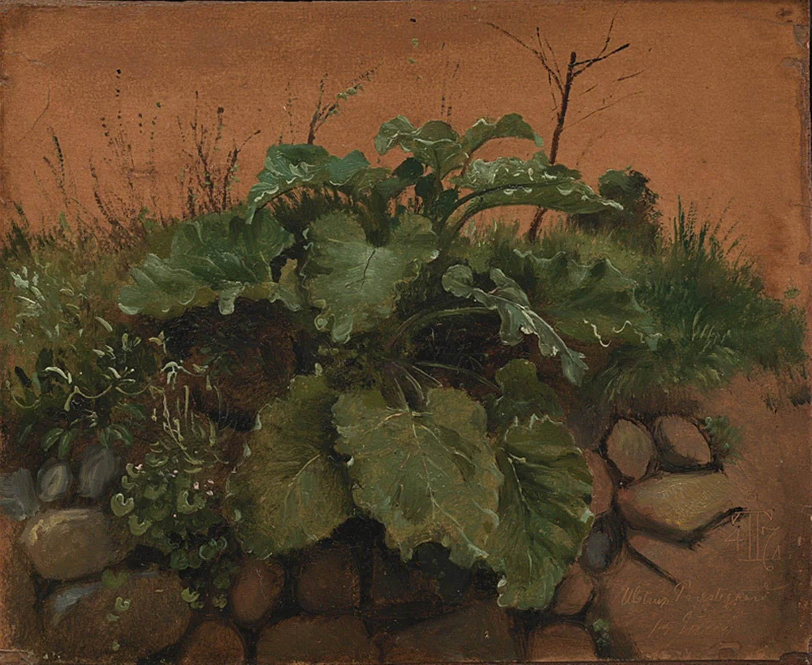 A Burdock and Other Plants on a Stone Wall, by Unknown, 1847