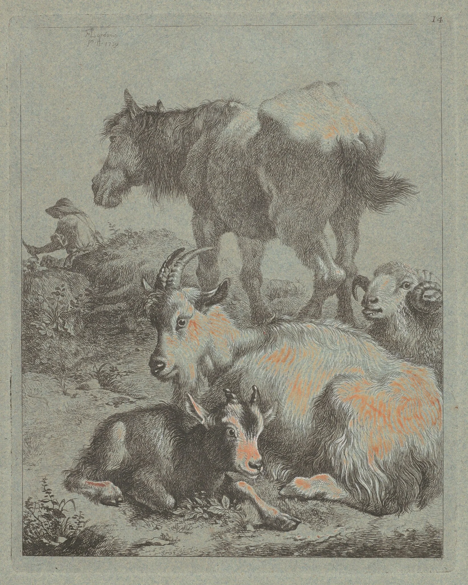 Horse, Ram, Goat with Kid; In the Distance a Shepherd with Flock, by Francesco Londonio, ink, 1759